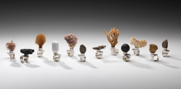 gallerysallydan-cuthbert-kyoko-hashimoto-and-guy-keulemans-bioregional-rings-sydney-basin-2021.jpg