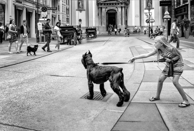 © Gary White. On the Street Vienna. Street scene in Vienna taken just before the dog breaks free and causing havoc.