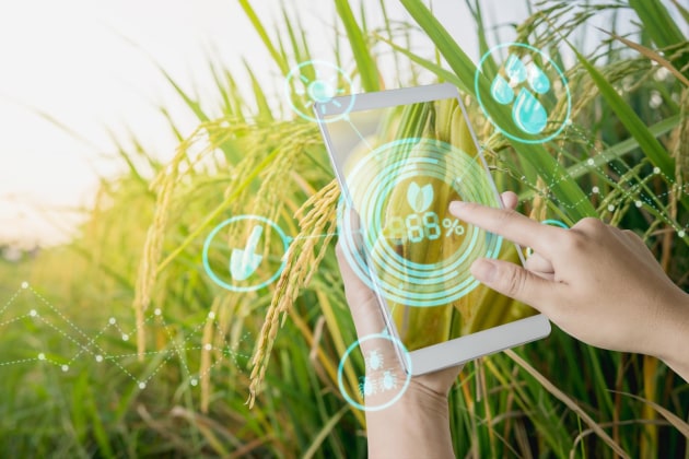 The federal government has granted 10 companies a share of $4 million to enhance Australia&rsquo;s agricultural traceability systems.
Source: Getty Images
