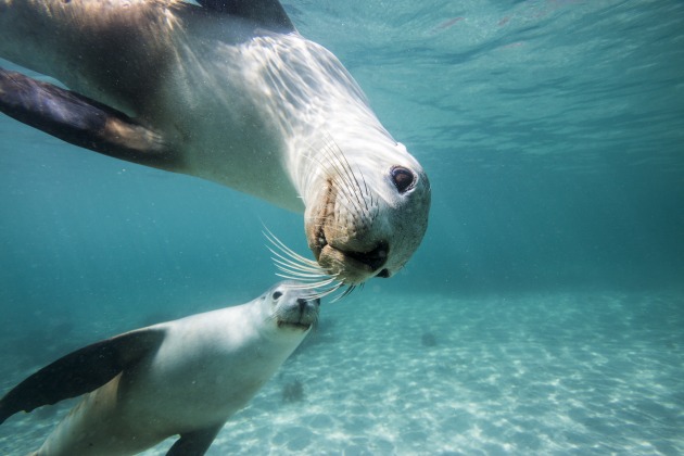 Image: mbolenski/iStock