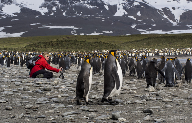 My only consideration when taking this was just to capture the smile on Heather’s face. The fact I was at her eye level, there were two King penguins close by to help frame the image, and her red jacket draws the eye, was really pure luck. Olympus E-M5, 60mm f/2.8 lens. 1/320s @ f8, ISO 200. Tripod.