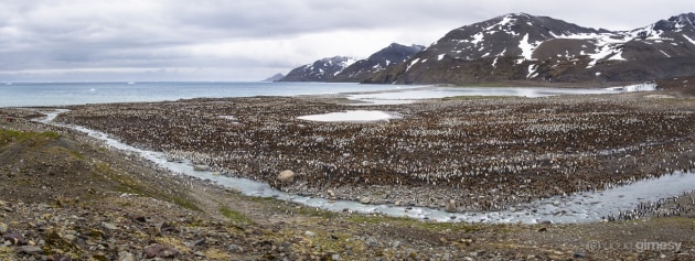 Using really wide angle lenses to capture expansive landscapes can have the danger of creating too much distortion and pushing everything into the distance. Here I chose to use a narrower focal distance and stitch two images together. Olympus E-M5, Lumix G Vario 12-35mm f/2.8 lens, 1/320s @ f11, ISO 200. Tripod.