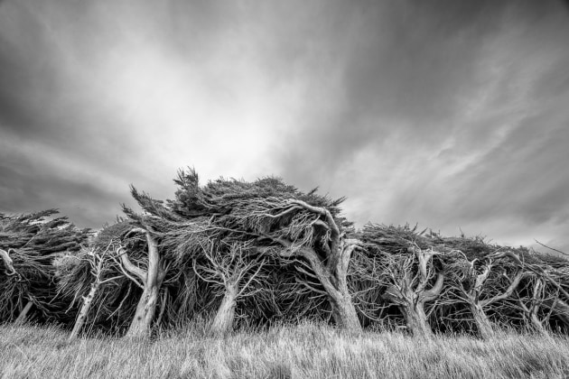 Image: Glen Howey