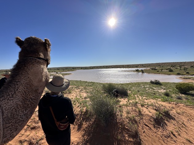 The sky seems to go on forever in the desert.