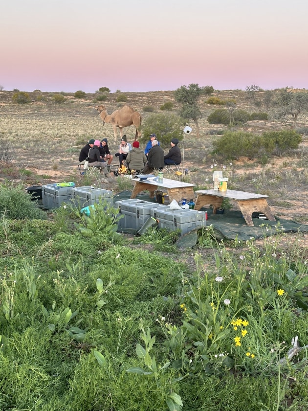 The colours are amazing in the desert.