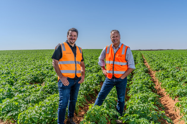 Mitolo Family Farms has appointed John Tselekidis to the newly created role of chief commercial officer.
Source: Mitolo Family Farms