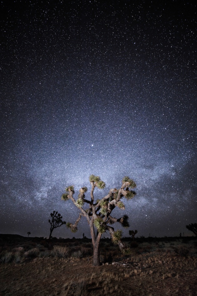 Joshua Nights: Being out in Joshua Tree National Park at night, all alone, in pitch black darkness and hearing strange sounds in the distance is enough to put anyone on the edge of their seat. It doesn’t help when you read a book in your hotel right before leaving that says puma’s have been known to frequent the area. This is a composite of two separate images, one exposing for the stars and the other for the tree which I illuminated with a speedlight. Canon EOS 5D Mk IV, 16-35mm f2.8 lens @ 16mm. 20s @ f/2.8, ISO 1250 for stars. 20s @ f/2.8, ISO 800 for tree.