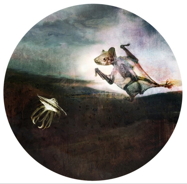 A flying saucer over Clyde Mountain, shows Declan, dead at two hours old, how to make a new body out of light by Judith Nangala Crispin. This is part of a series of afterlife portraits of birds and animals, ascending between earth and outer space. I place cadavers on emulsion, creating images with Lumachrome glass printing sun printing, clich-verre and chemigram. Decomposition chemistry creates colour and detail. Each print is exposed 30-50 hours in natural light. This work draws on my experience of tracing my family’s Aboriginal ancestry. I am trying to honour the lives of animal and birds with whom we share this planet. Lumachrome glass print, chemigram, drawing. Deceased newborn microbat, dried take-away baby octopus, salt, wax, crayon, paint, potassium ferricyanide, silver nitrate, household chemicals. Exposed 16 hours in a metal bucket, in rainlight.