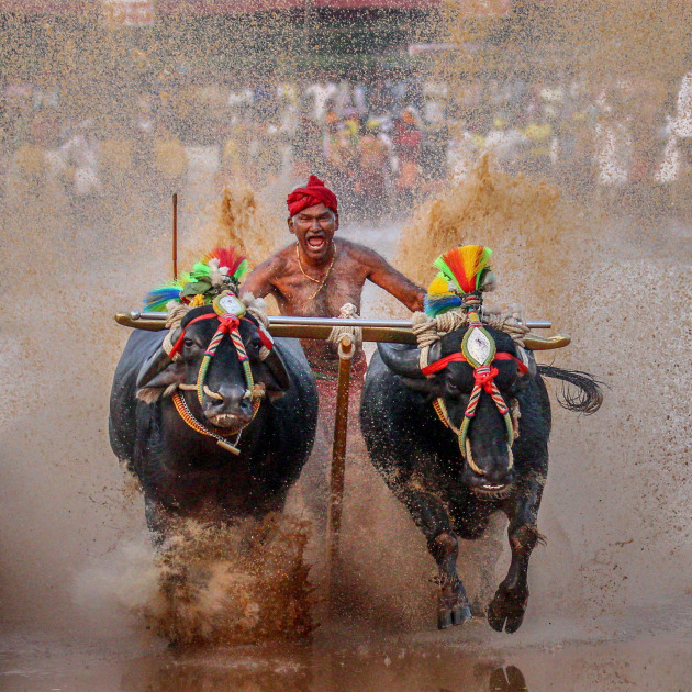 © Iokanath Muda - Kambala - People's Choice Winner