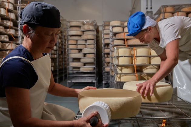 Long Paddock produces a large range of cheeses, spanning fresh soft cheese and cooked-curd cheeses that age for up to 12 months.