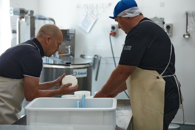 The fromagerie has artisanal equipment that allows the cheesemakers to produce at volume but still touch and feel the milk and curds.