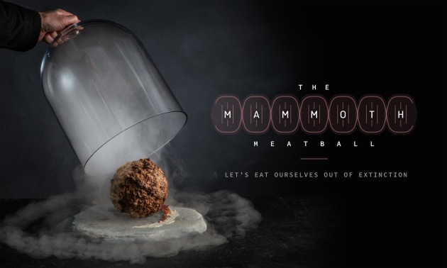 The Mammoth Meatball is a scientific experiment intended to draw attention to the future of food in our growing population by challenging the public and the meat industry to think differently about how we produce and consume food.