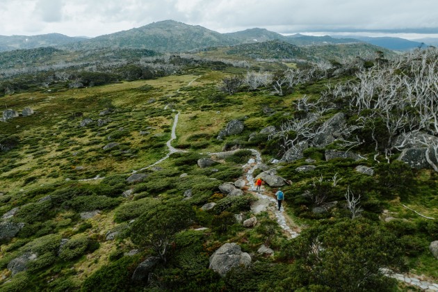 Main pic: Charlotte Pass To Perisher Walk. DParsons/DCCEEW