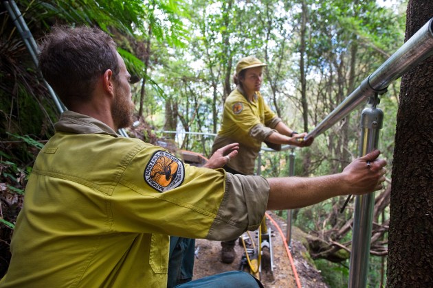 NPWS track crew working on the new Grand Cliff Top Walk. KMaxwell/DCCEEW