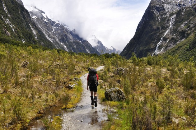 Exploring the Clinton Valley on day two of the walk. Photo: Brent McKean