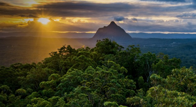 maleny-wood-expo-sunset.png