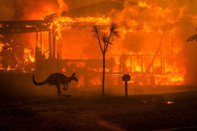 The image that has come to define Australia's bushfire crisis. Credit: Matthew Abbott for The New York Times. Used with permission.