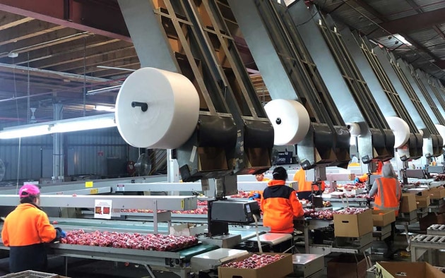 Source: ThreeSixty Supply Chain Group.