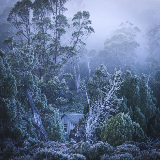 Image by 2024 entrant Joy Kachina, captured in Cradle Valley Tasmania.