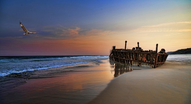 © Peter Granfield - Osprey Over Wreck, Alwyn Kucks Memorial Award