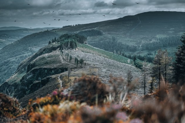 Landscape photography. Lucian Photography/Pexels