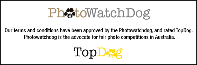 photowatchdog