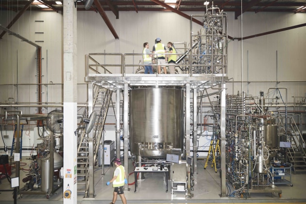 VOW purpose-built facility for cell-cultured meat production. (Image: Vow)