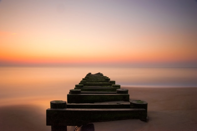 An old favorite that was captured on a budget camera.