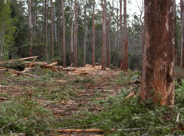 responsible-wood.png