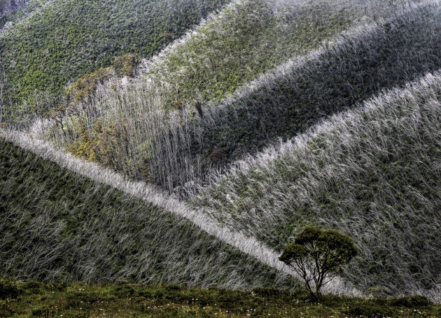 Ros Osborne, Fire's long term impact