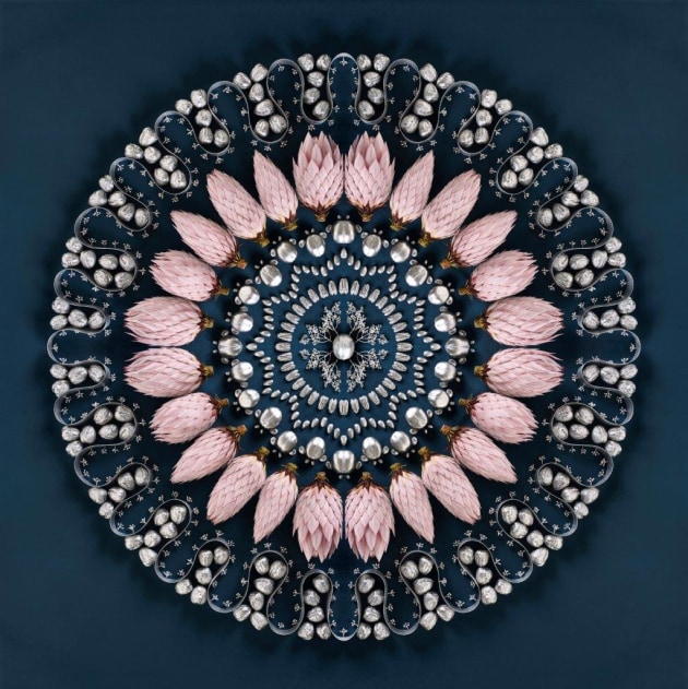 © Sally McKay. Seed Survival.