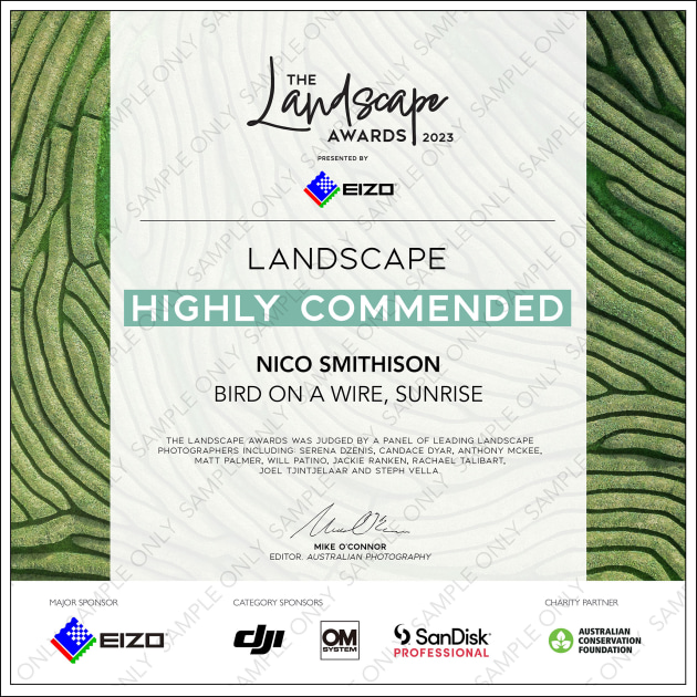 landscape-awards-dummy-certificate-2021.jpg