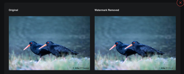 Despite the website's promise to smoothly get rid of the translucent watermarks from images in just few seconds [sic], we found the results pretty poor.