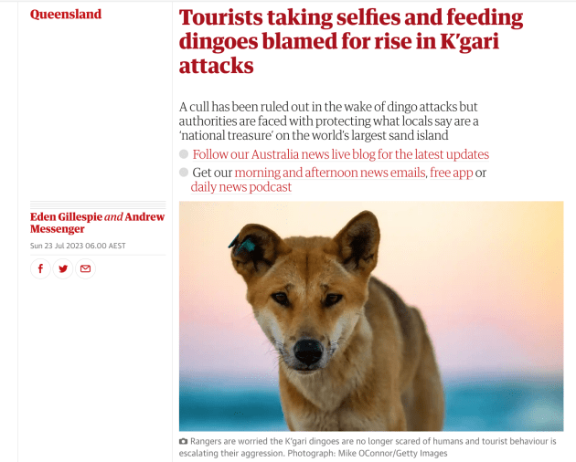 My image on the Guardian.