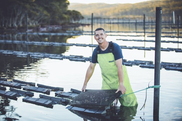A 'doing' portrait of an oyster farmer. Image: © Tim Levy