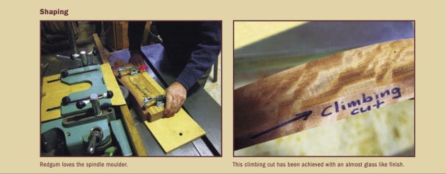 shaping-taming-redgum.png