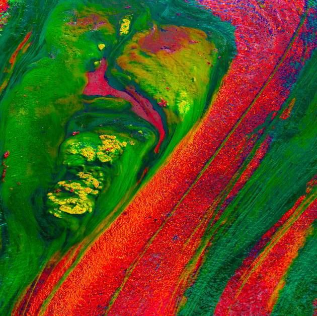 Sheila Peake, Algal flow in river