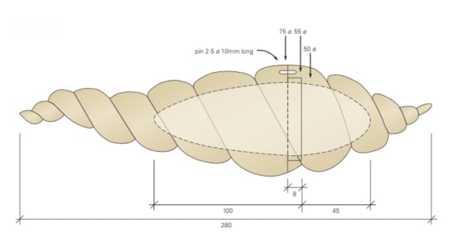 shellbox.fig.1.jpg