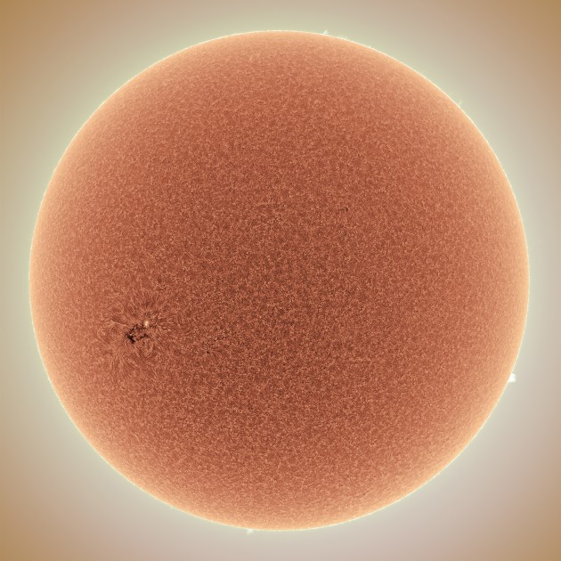 Silent Spring Sun © Alan Friedman (USA). Astro-Physics F5 Stowaway telescope, Coronado SolarMax 90 mm etalon filter, Astro-Physics German Equatorial mount, Point Grey Research Grasshopper camera, 900 mm 90 mm telescope f/10 lens, 1/1000-second exposure.