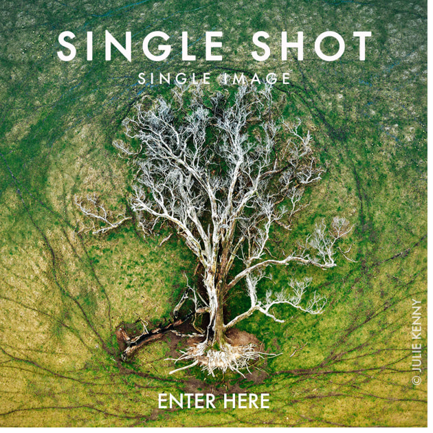 single-shot-enter.jpg