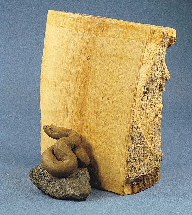 susanwraight-snake-with-boxwood.jpg