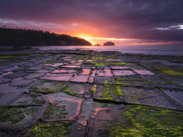 Tessellated pavement, Tasmania