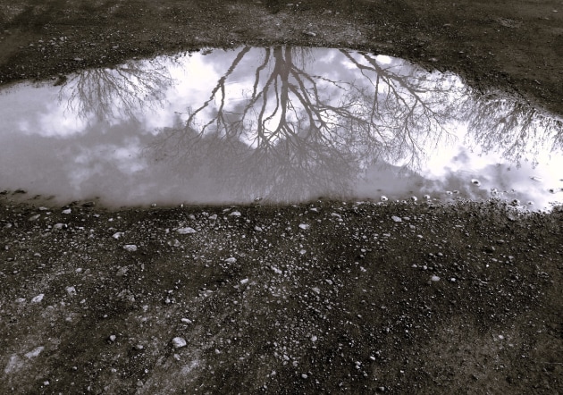 Theresa Mobbs, The puddle