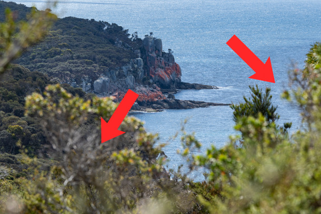 Image: Mike O'Connor