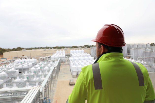 More than 100 million litres of wine will be produced at Treasury Wine Estates’ new production facility in South Australia’s Barossa Valley, said to be the largest in the Southern Hemisphere.