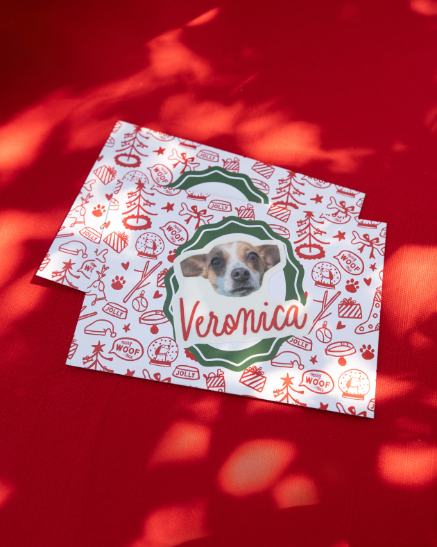 Xmas gifts: As part of the effort, shelter dogs received personalised gift bundles filled with blankets, bowls, beds, engraved ID tags, and a heartfelt printed message of love