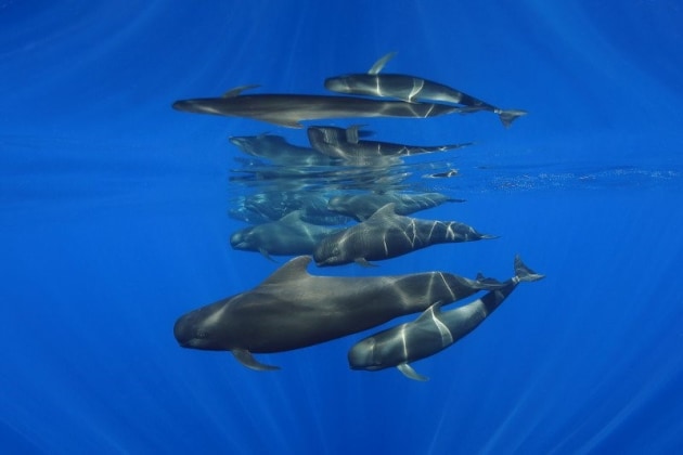 © Eduardo Acevedo. Family. Winner – Wide-Angle category.