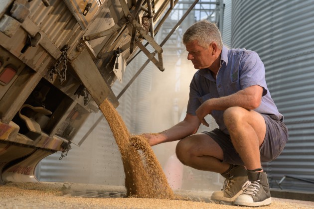Wholegrain milling. (Image: supplied)