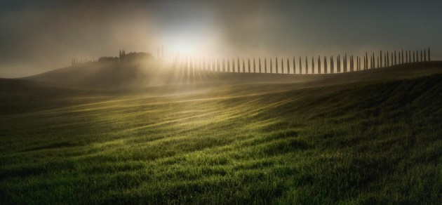 © Veselin Atanasov. Open Photographer of the Year (2018) and Open Award Winner (2018) – Nature/Landscape. Combing the Sunlight, Tuscany, Italy.