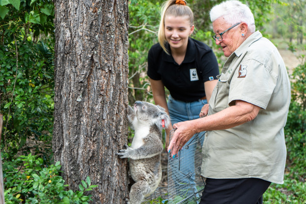 WWF-Australia looks after many endangered Australian animals.